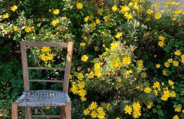 Etna Mare Dimore Rurali - Foto 11