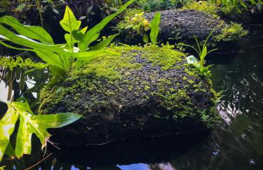 Gingerhill Farm Retreat - Foto 48