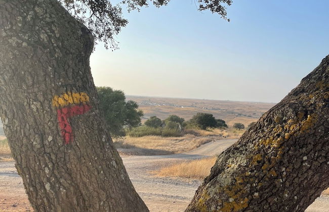 uma casa em entradas Guesthouse Alentejo - Foto 41