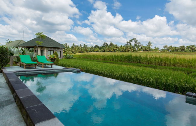 Cahaya Ubud Villa - Foto 64