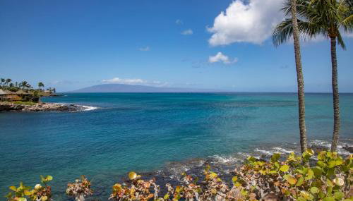 NEW KBM Resorts FREE CAR Napili Point Oceanfront 1-Bedroom Condo with Luxury Amenities NAP-B13 - Foto 2, Other