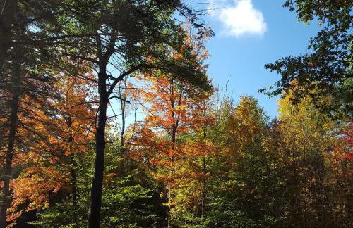 Deer Valley Retreat, Lovely Log Cabin with Fireplace & Garden Views- Perfect for a Relaxing Getaway! - Foto 32