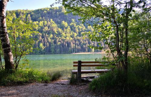 Haus Bullachberg - Foto 30