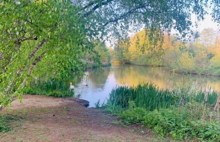 Happy Day 温馨小居-Walk to Warwick Uni & Cannon Park in Coventry that offers free parking - Foto 54