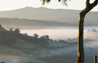 Snug Oak Hut with a view on a Welsh Hill Farm - Photo 12