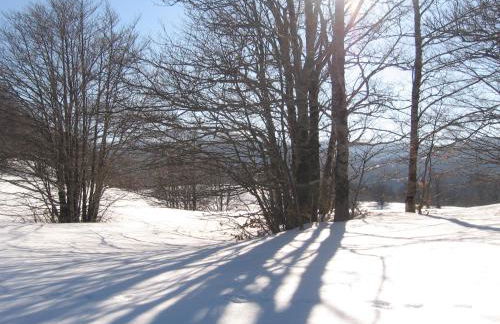 Principe di Napoli - Foto 36