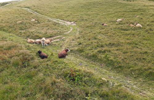 T2 vue piste Résidence Vostok Zodiaque - Photo 53