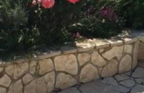 Miro Apartmani - Photo 71