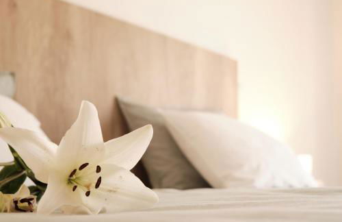 CASA DO LÍRIO - Alojamento Local - Foto 5