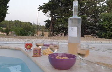 La Pinède - Foto 15