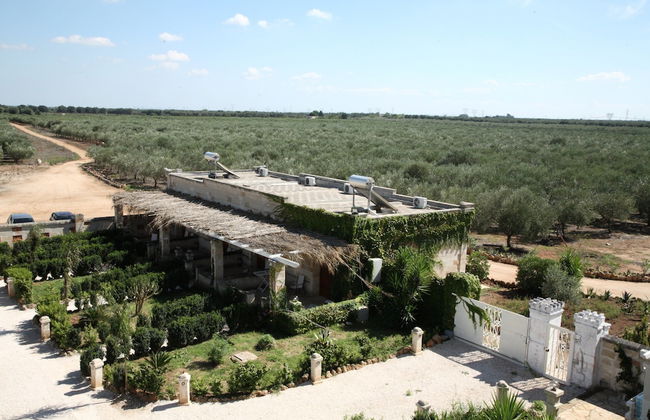 Agriturismo Tenuta Mazzetta - Foto 32