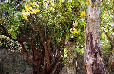 La Casa de los Abuelos Valentín - Foto 5