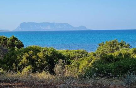 Marea Apartment - Foto 26