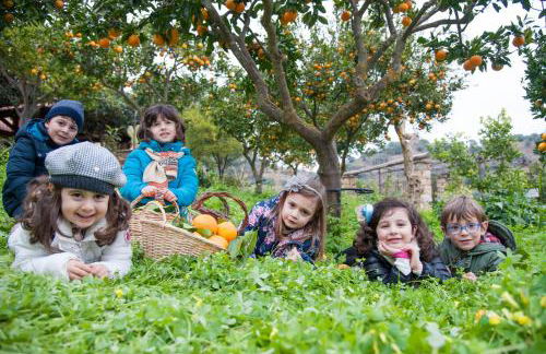 Azienda Agrituristica Bergi - Foto 121