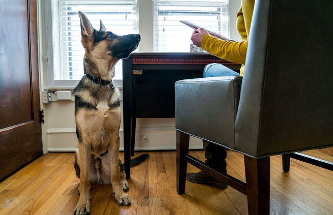 The Plaza Hotel - Photo 51