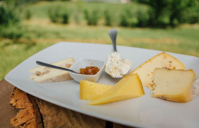 La Cerreta - Terme di Sassetta - Foto 32