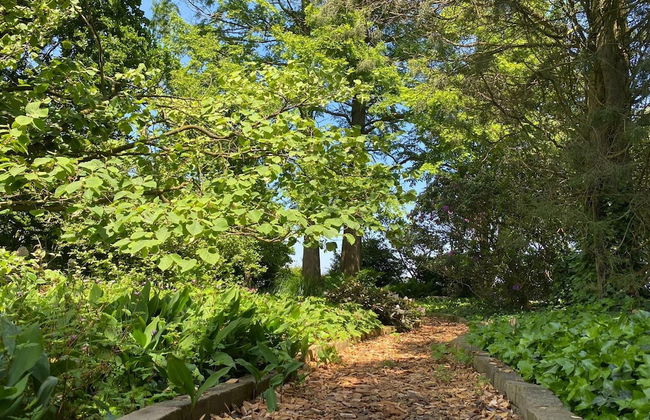 Holiday Home in Leende for ten Person - Foto 31