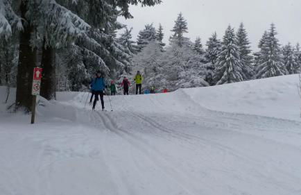 Panoramaferienwohnung Bergwiese - Foto 24