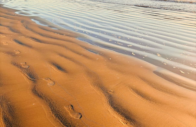 Sumner Bay Motel & Apartments - Foto 54