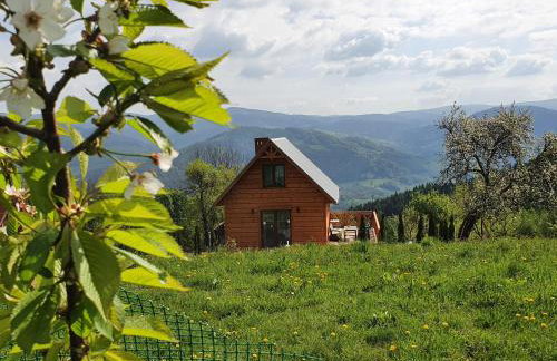 Domek Góralski Piwowarówka - Foto 73