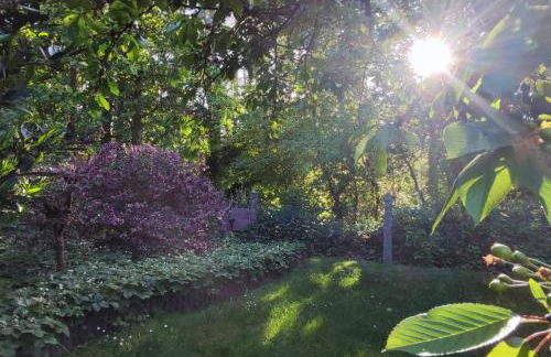 Waldidylle - Foto 15