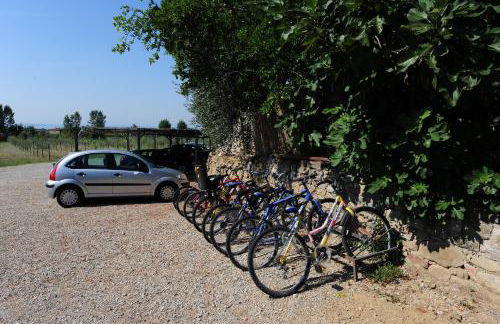 La Casa Colonica wine and oil - Foto 35