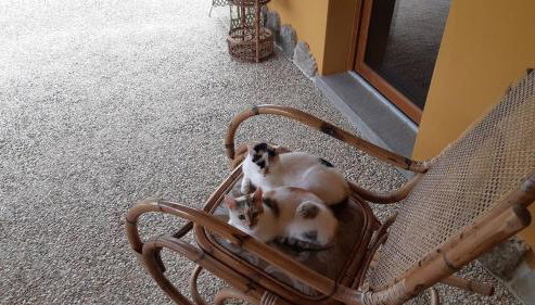 Alloro, accogliente monolocale a Val di Nima, Arezzo - Foto 5