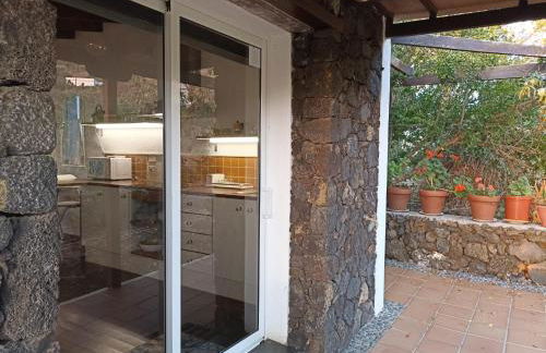 Dos Violetas - Foto 16