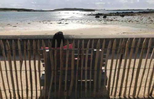 Appart avec vue mer incroyable sur l'Aber Wrac'h - Foto 27