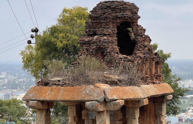 A2- Hill View Stay Kolar - Foto 72