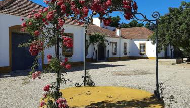 Quinta do Casalinho - Benfica do Ribatejo - Foto 3, Garden