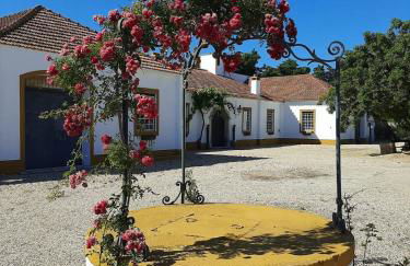 Quinta do Casalinho - Benfica do Ribatejo - Foto 3