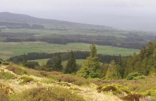 Vivenda Areias - Photo 32