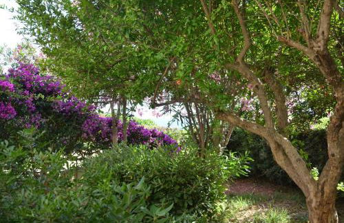 FANTASTIC SARDINIA VILLETTE CON GIARDINO Fronte Mare Fertilia FAHO-GAV01-GAV02 - Foto 116