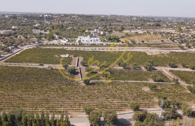TD Casale Donna Madia Sea View Pool Over Vineyard - Foto 5