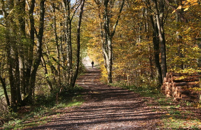 KraftQuelle - Foto 10