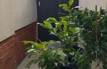 cosy quiet 1 bedroom apartment Carrington - Foto 12