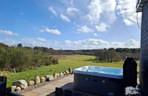 Red Squirrel - Photo 7