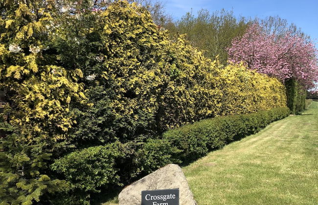 Impeccable Cottage Suitable for 2 Adults & 1 Child - Foto 23