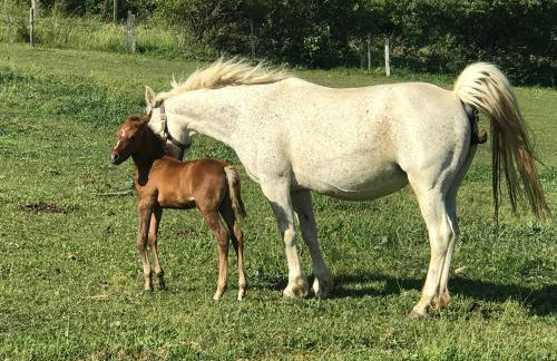 Gîtes Belle Vue - Photo 48