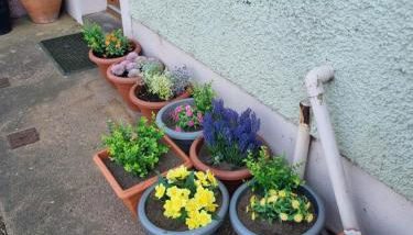 West View Cottage in Seaside Village of Allonby Cumbria - Foto 4