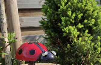 Landhof Gschwender - Foto 15