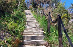 La Casetta nel Bosco - Foto 26