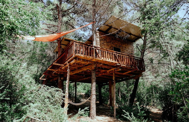 TreeHouses Ljubač Glamping Robinson - Foto 10