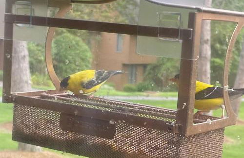 Saltbox 12F - Photo 22