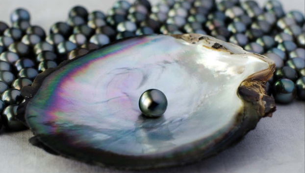 Vous verrez les différents types de perles