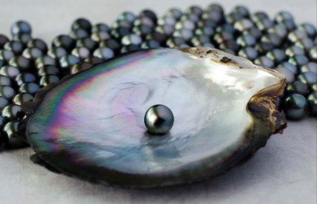 Pearl Farm Guided Tour - Photo 7