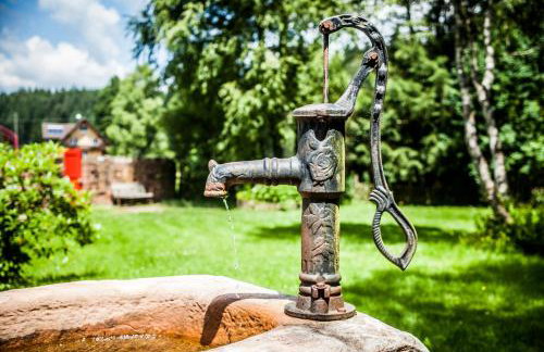 Ferienwohnung am Hirschenmoor - Photo 13