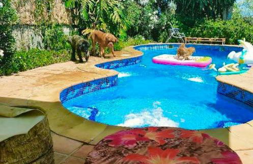 Valencia, villa, piscina privada, junto A-7 cerca de playas, aeropuerto, Cheste - Foto 1