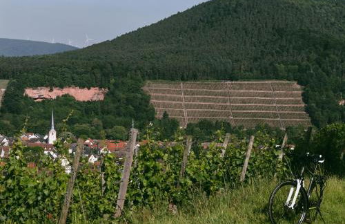 Bürgstadt, Am Bischof mit Sonnenterrasse, 1 bis 4 Betten - Foto 57